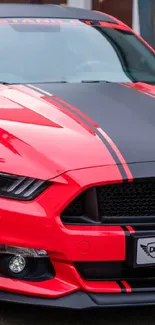 Vibrant red muscle car with a sleek design on display.