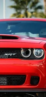 Front view of a powerful red muscle car on a sunny day.