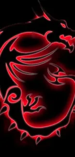 Red neon dragon on a black background.