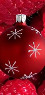 Red ornament with star patterns on vibrant raspberries.