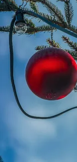 Vibrant red ornament on a pine branch with a clear blue sky.