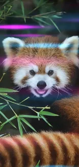 Red panda nestled among bamboo leaves.