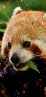 Adorable red panda eating bamboo in a green forest setting.