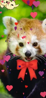 Cute red panda with hearts and bow on a vibrant green background.