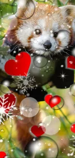 Red panda with hearts and snowflakes in vibrant, festive mobile wallpaper.