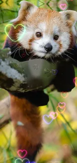 Red Panda Plant Carnivore Live Wallpaper