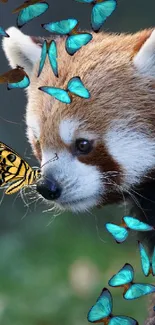 Red panda with turquoise butterflies in vibrant nature scene.