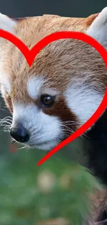 Charming red panda with heart shape on dark forest background.