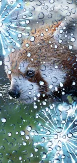 Red panda with water droplets and aqua background, perfect for mobile screens.