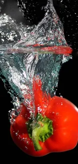 Red bell pepper splashing in clear water on a black background.