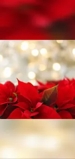 Vibrant red poinsettias with a blurred light background, creating a festive atmosphere.