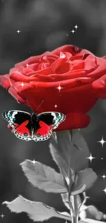 Red rose with butterfly on grayscale background.