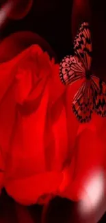 Red rose with a butterfly on a vivid wallpaper.