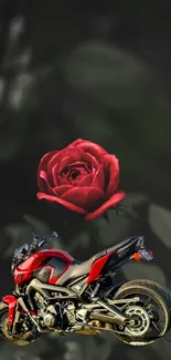 Wallpaper of a red rose with a motorcycle in black background.