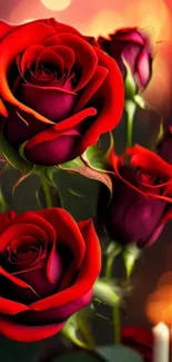 Red roses with candlelight, creating a romantic mobile wallpaper ambiance.