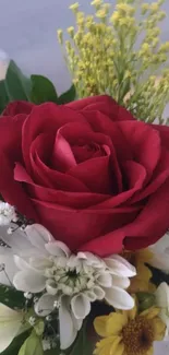 Red rose with accompanying white and yellow flowers in a natural arrangement.