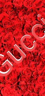 Vibrant red rose wallpaper with Gucci text in the center.