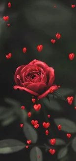 Red rose with heart shapes falling on dark background.