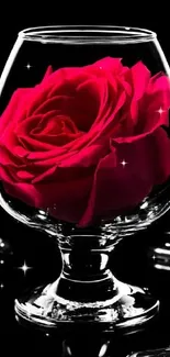 Vivid red rose inside a clear glass against a black background.