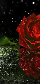 Red rose in a night scene with snowflakes, perfect for phone wallpaper.