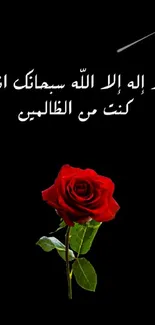 Red rose with Arabic text on black background.