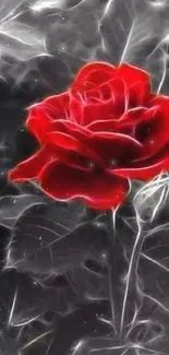 A vibrant red rose on a dark artistic background.