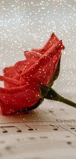 Red rose resting on musical sheet, creating an artistic and serene mobile wallpaper.