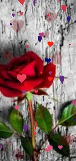 Red rose with heart motifs on rustic wood background wallpaper.