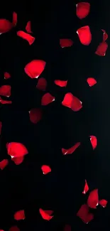 Vivid red rose petals on dark background wallpaper.