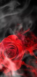 Red rose with smoke on a black background, perfect for mobile wallpaper.