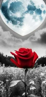 Red rose under a heart-shaped moon.