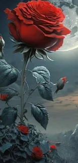 A stunning red rose beneath a full moon in a night garden scene.