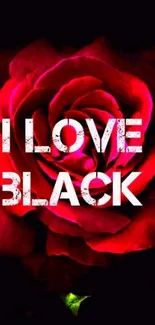 Vibrant red rose with bold white text "I Love Black" on a dark background.