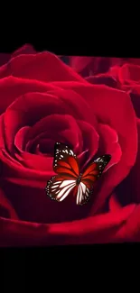 Wallpaper of a red rose with a butterfly on top against a black background.