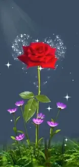 Red rose with purple flowers under moonlight.