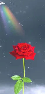 Red rose under rainbow night sky wallpaper with moon.