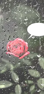 Mobile wallpaper with a red rose and blank speech bubble.