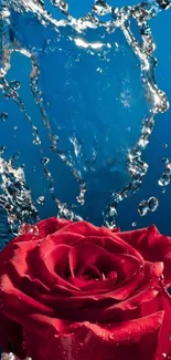 Vibrant red rose with dynamic water splash on blue background.