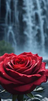 A vibrant red rose with a waterfall background.