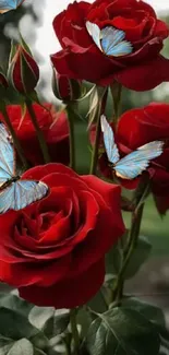 Red roses with blue butterflies fluttering around on a vibrant floral background.