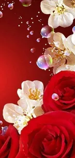 Red roses and white blossoms with bubbles on a vibrant wallpaper.