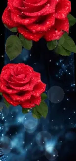 Vibrant red roses on a starry cosmic background for mobile wallpaper.