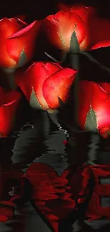 Red roses with water reflection, romantic wallpaper.