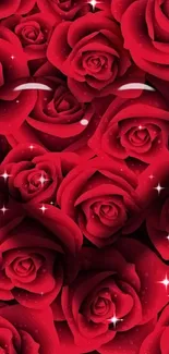 Vibrant red roses creating a stunning smartphone wallpaper background.