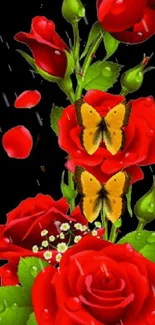 Red roses and butterflies on a black background, digital wallpaper for mobile.