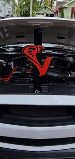 Closeup of car engine with red snake emblem.