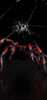 Red spider on a cracked black screen creating a dynamic and edgy wallpaper.