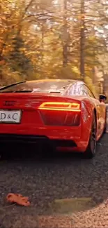 Red sports car on scenic forest drive with autumn foliage.