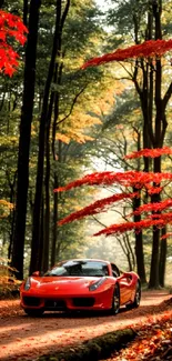 Red sports car driving through an autumn forest with vibrant red leaves.