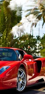 Red sports car with tropical palm trees background.